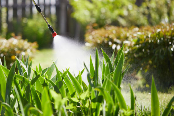 24/7 Emergency Pest Control experts in Mauldin, SC